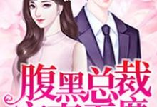 腹黑总裁宠妻无度免费阅读，腹黑总裁宠妻无度章节在线阅读-经典文学