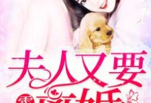 小说《霍少,夫人又要离婚》章节免费阅读-经典文学
