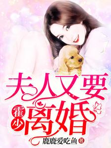 小说《霍少，夫人又要离婚》章节免费阅读