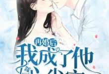 想读罗子杰罗永林子杰的故事,哪里可以免费找到再婚后,我成了他的心尖宠?-经典文学