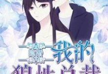 隐婚，我的狼性总裁（江语心顾宇堔景煦风）在线免费阅读-经典文学