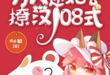 快穿之万人迷她会撩汉108式小说全文哪里可以免费看?-经典文学