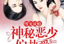 《嗜宠成瘾:神秘恶少偏执爱》小说大结局免费试读 苏安凉郁之哈得斯商君小说-经典文学