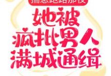 揣崽跑路那夜，她被疯批男人满城通缉小说有没有完整的免费版本在线阅读？-经典文学