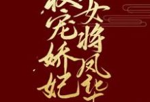 主角叫裴昭萧云祈小说权宠娇妃，女将凤华章节免费阅读-经典文学