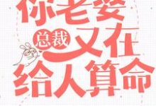 叶紫鸢君凌渊的故事在哪本书里？免费阅读总裁，你老婆又在给人算命-经典文学