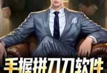 手握拼刀刀软件，我化身神豪巨佬这本小说怎么样？免费在线阅读试试-经典文学