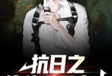 求抗日之特种兵王出击小说免费资源-经典文学
