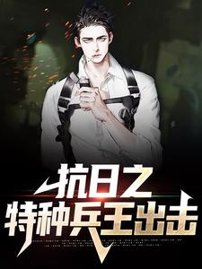 求抗日之特种兵王出击小说免费资源