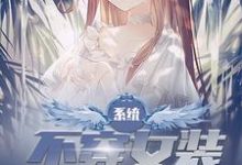 小说《系统:不穿女装就会死》章节免费阅读-经典文学
