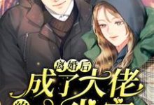 离婚后,成了大佬的心尖宠小说的免费阅读版本在哪里可以找到?-经典文学