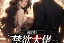 想读苏暖沈宴行的故事，哪里可以免费找到离婚后，禁欲大佬求我跟他回家？-经典文学