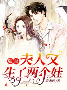 主角叫唐未晚陆寒沉的小说在哪阅读