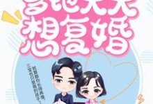 《萌宝闹翻天:爹地天天想复婚》小说大结局免费试读 叶揽希赫司尧小说-经典文学