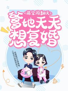 《萌宝闹翻天：爹地天天想复婚》小说大结局免费试读 叶揽希赫司尧小说