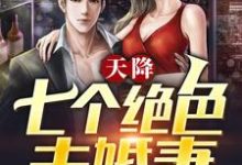 天降七个绝色未婚妻小说全文阅读需要付费吗？寻找免费资源-经典文学