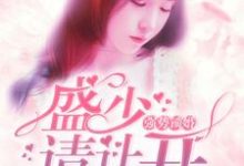 强势锁婚：盛少，请让开免费阅读，强势锁婚：盛少，请让开章节目录-经典文学