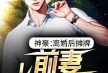 主角 陆青玄吕冰清小说神豪：离婚后摊牌，前妻悔不当初免费阅读-经典文学