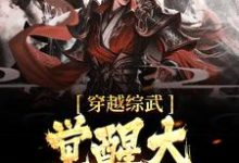 完结版《穿越综武，觉醒大反派系统》章节阅读-经典文学