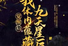 《觉醒后，我体内蕴藏九天星辰》小说主角龙尘梦琪章节章节免费在线阅读-经典文学