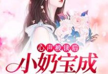 苏沐沐其他是哪本书的主角?寻找心声被读后,小奶宝成全家宠儿免费阅读-经典文学