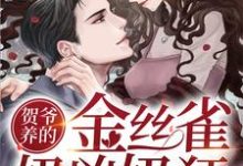 黎姜贺琛小说在哪里可以看-经典文学