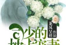 完结版《司少的枕上宠妻》免费阅读-经典文学