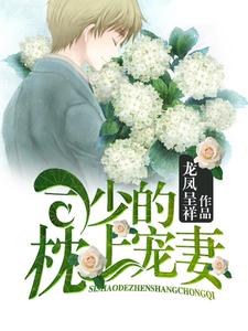 完结版《司少的枕上宠妻》免费阅读