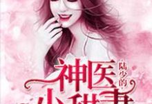陆少的神医小甜妻秦念慕容云耀小说免费阅读-经典文学