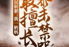 已完结小说《全民转职：我一奶妈，最擅长暴击禁咒》章节在线阅读-经典文学