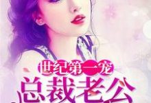 世纪第一宠：总裁老公夜夜来林子衿顾长风林岚李娜，世纪第一宠：总裁老公夜夜来小说免费阅读-经典文学