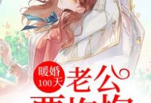 主角宁肖然顾淮宁宁筱安陆向北小说完结版在线阅读,暖婚100天:老公要抱抱免费看-经典文学
