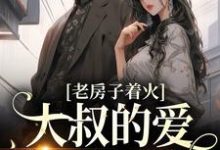 老房子着火:大叔的爱势不可挡主角秦舒意宋崇州小说完结版章节在线阅读-经典文学