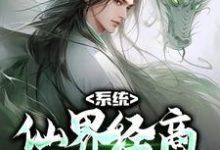 免费阅读苏黎为主角的小说,系统:仙界经商,我成无上古神在线看-经典文学