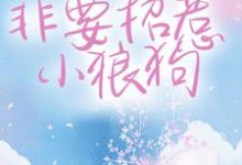 已完结小说《干什么不好?非要招惹小狼狗》最新章节-经典文学