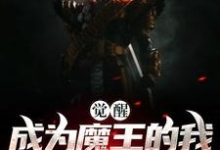 觉醒:成为魔王的我加入了聊天群识趣小说在线章节免费阅读-经典文学