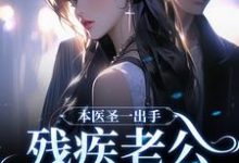 本医圣一出手,残疾老公傍地走最新章节,本医圣一出手,残疾老公傍地走章节在线阅读-经典文学