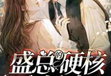 盛总的硬核小娇妻宋晚枝盛时尧,盛总的硬核小娇妻在线无弹窗阅读-经典文学