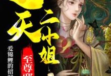 至尊邪凤：逆天二小姐免费阅读，至尊邪凤：逆天二小姐章节目录-经典文学