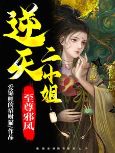 至尊邪凤：逆天二小姐免费阅读，至尊邪凤：逆天二小姐章节目录
