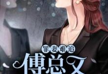 罪妻难追:傅总又被拉黑了小说最新章节在哪里可以读到?-经典文学