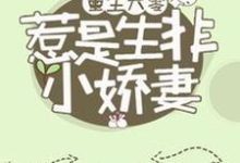 重生六零:惹是生非小娇妻章节免费在线阅读,韩惠刘君山完结版-经典文学