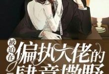 《被迫在偏执大佬的心上肆意撒野》全集免费在线阅读(苏冉孤沛烈)-经典文学