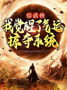 综武侠：我觉醒了气运掠夺系统龙云黄蓉，综武侠：我觉醒了气运掠夺系统小说免费阅读