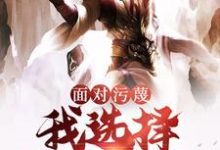 面对污蔑,我选择贴脸开大章节免费在线阅读,陆沉叶漓完结版-经典文学