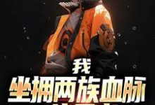 在线寻找我，坐拥两族血脉，一统忍者！小说的无删减版本-经典文学