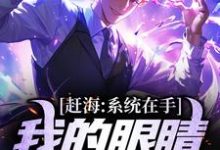 赶海:系统在手,我的眼睛就是尺小说的免费电子版在哪里可以下载或阅读?-经典文学