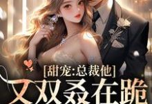 甜宠:总裁他又双叒在跪搓衣板了简薇霍北凛小说在线章节目录阅读最新章节-经典文学