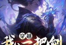 赵棂羽小说在哪里可以看-经典文学