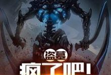 盗墓：疯了吧！你管这叫下墓？免费阅读，盗墓：疯了吧！你管这叫下墓？章节在线阅读-经典文学